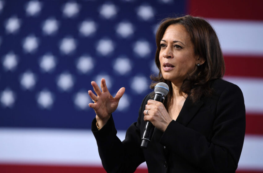  Will The Force Be With Kamala Harris On Voting Day?