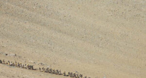 Disengagement The Current Focus; Meeting Of Special Representatives Later