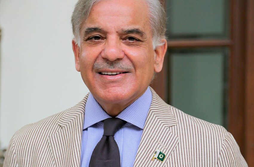  Shehbaz Sharif: Chief Minister, Leader Of Opposition, Prime Minister