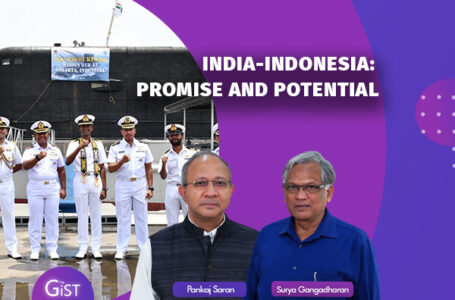 India Indonesia Promise and Potential