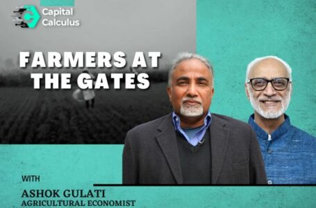 Punjab Farmers Demand MSP Law