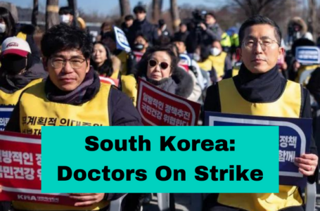 South Korea: Doctors Strike Against Government Plan To Hike Medical seats