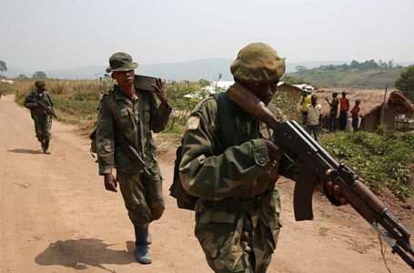 UN Security Council Sanctions 6 Rebel Leaders in Congo