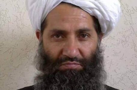 Taliban Will Recommence Stoning For Women Accused Of Adultery, Says Report