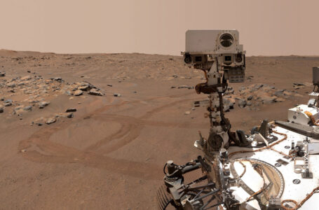 Amid Budget Crunch, NASA Seeks Cheaper Ideas For Mars Sample Return Mission