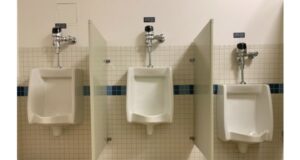 Please Pee Seated: Iran Removes ‘Un-Islamic’ Urinals From Malls