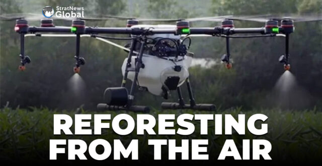 REFORESTING FROM THE AIR