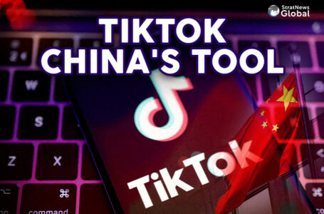 TikTok Is A Chinese Influence Tool, Say Poll Respondents