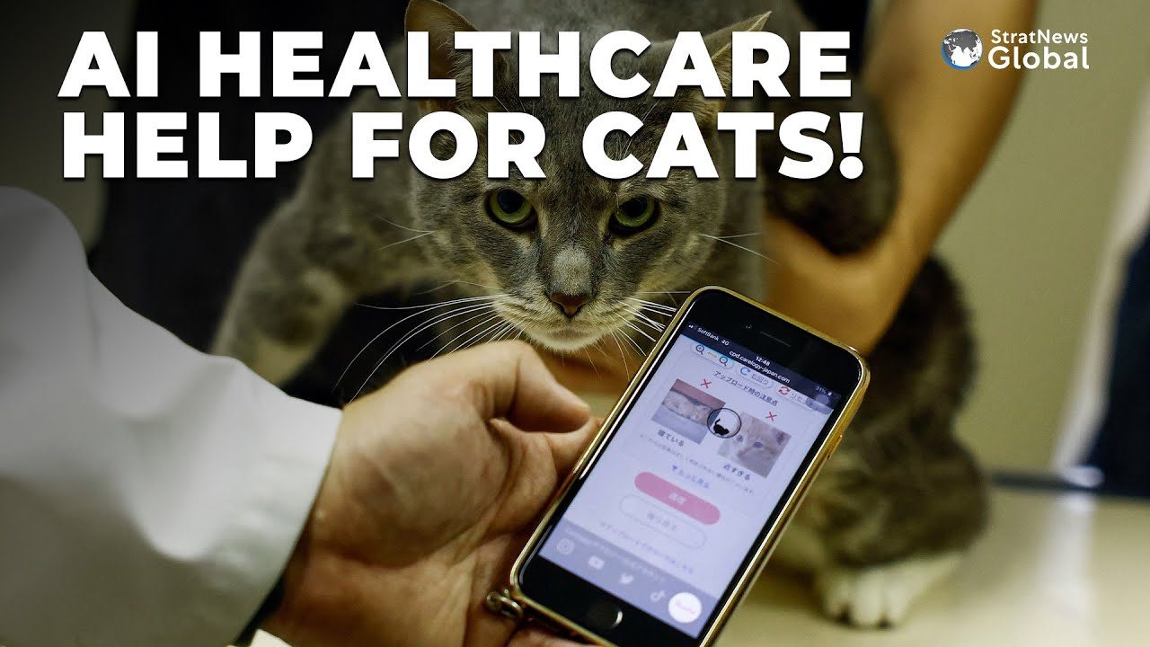AIによる猫の健康管理支援