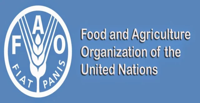 UN FAO logo