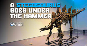 Sotheby’s To Auction A Stegosaurus Fossil Valued At Over $4 Million