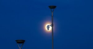 COP29: Global Action Falls Short on Methane Emissions, Says U.N.Report COP29 methane, U.N., report