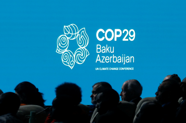 Delegates at the COP29 conference