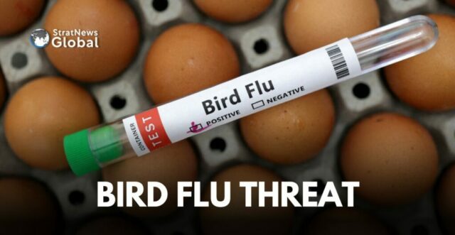Bird Flu