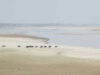 For Reasons Of State, India Cannot Continue With Indus Waters Treaty