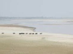 For Reasons Of State, India Cannot Continue With Indus Waters Treaty