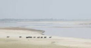 Indus Waters: India Scores Key Point Over Neutral Expert, But Future Uncertain