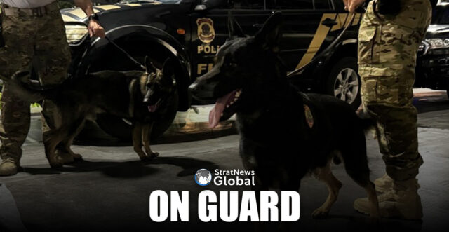 Brazilian policemen with police hounds