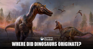 Did Dinosaurs Originate In The Sahara Desert, Amazon Rain Forest?