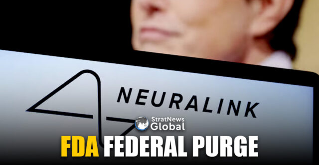 Neuralink logo and Elon Musk photo are seen in this illustration taken, December 19, 2022. REUTERS/Dado Ruvic/Illustration/File Photo