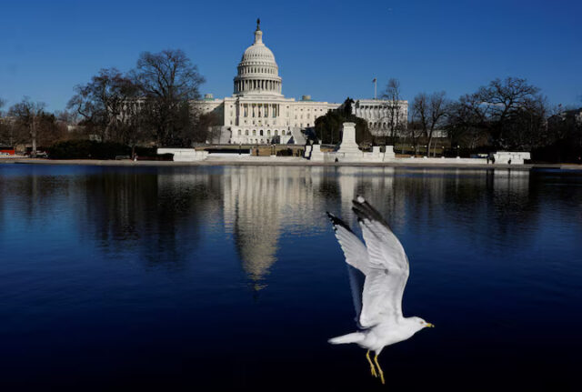 ZGWYNYUWARLU7NFOE3FFKJ7M2E A bird flies near the U.S. Capitol building in Washington, D.C., U.S., February 25, 2025. REUTERS/Nathan Howard/File Photo