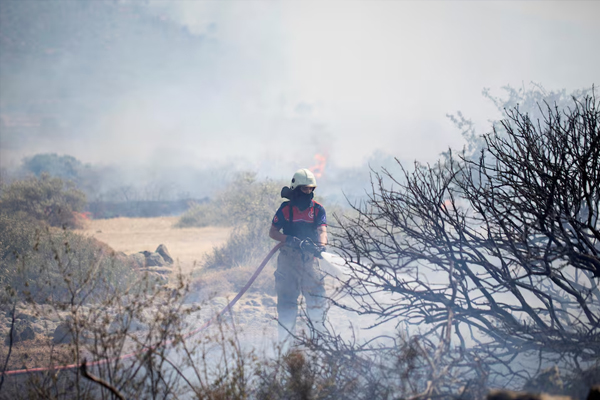 Turkey Contains Six Of Nine Wildfires In Izmir After Blazes Force Mass Evacuations