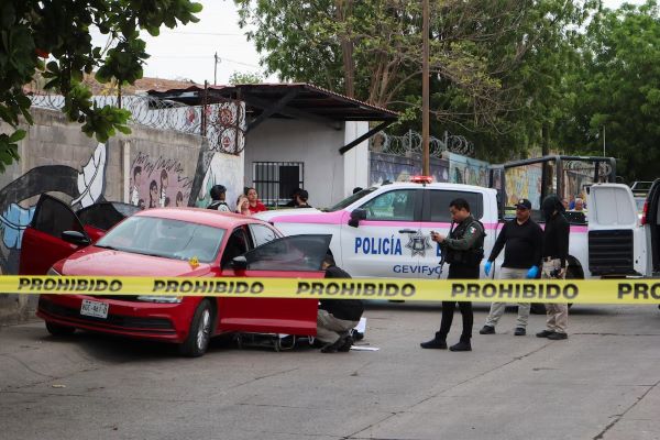 drug drug cartels