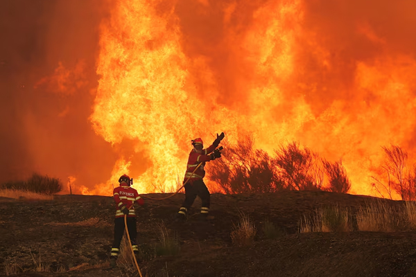 wildfire