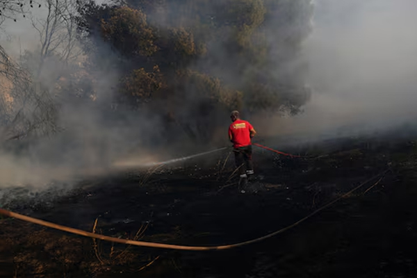 wildfire