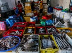 Vietnam Urges U.S. To Reconsider Ban On Seafood Exports seafood exports