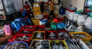 Vietnam Urges U.S. To Reconsider Ban On Seafood Exports seafood exports