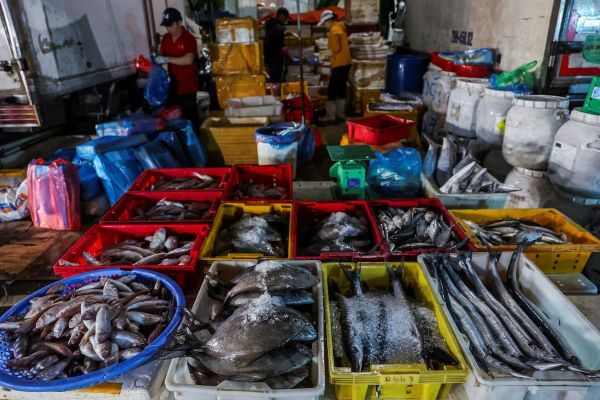 seafood exports