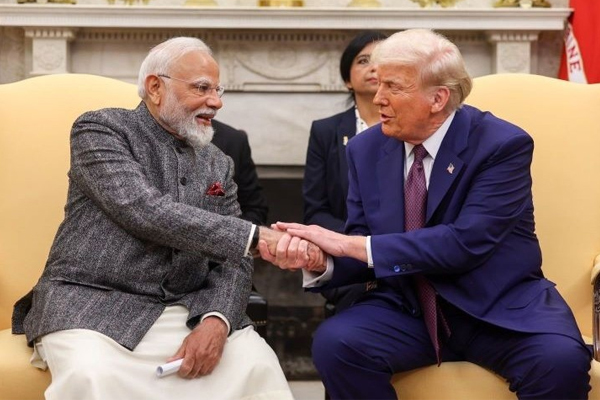 mdi-trump