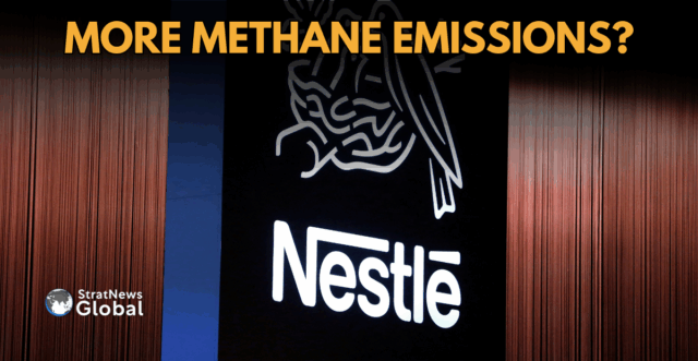 Nestle Dairy