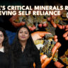 India Critical Minerals