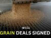 China Buys U.S. Soybeans After Leaders’ Call
