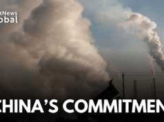 China: CO2 Emissions Remain Flat For 18 Months, Analysis Finds China Emissions