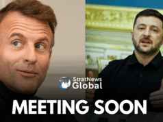 French President Macron To Meet Zelenskyy On November 17 Macron Zelenskyy meeting