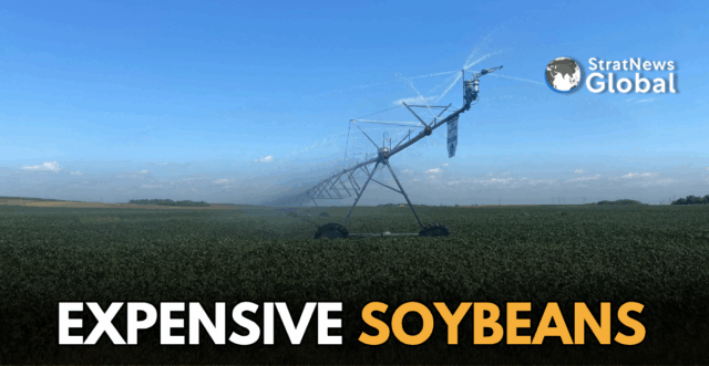 Strat News Global(36) China soybeans US