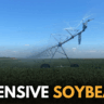 China soybeans US