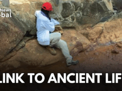 Japan’s Hot Springs May Hold Clues Of Ancient Life On Earth japan hot springs