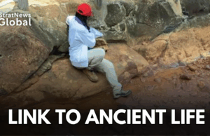 Japan’s Hot Springs May Hold Clues Of Ancient Life On Earth japan hot springs