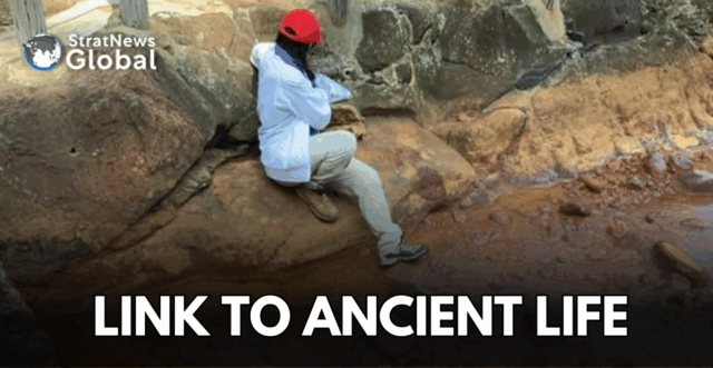 springs canva japan hot springs