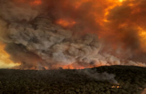 Australia: Evacuation Of Over 300,000 Likely As Wildfires Spread In NSW