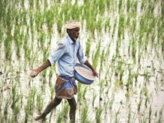 Russian Gas Powers India’s Fertiliser Push Putin visit Russian fertiliser