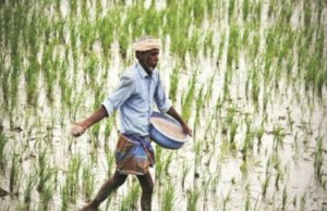 Russian Gas Powers India’s Fertiliser Push Putin visit Russian fertiliser