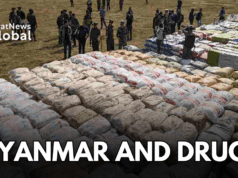 Myanmar: Poppy Cultivation Rises By 17% In A Year Myanmar Poppy