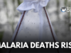 Malaria Deaths Rise Globally In 2024: WHO Report malaria deaths