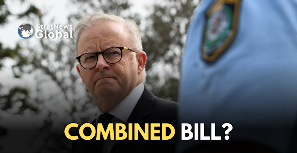 Australia gun laws