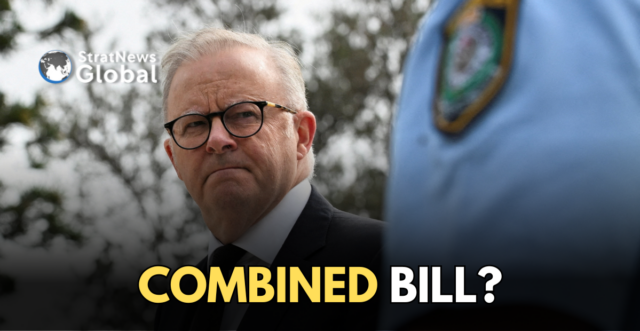Australia gun laws